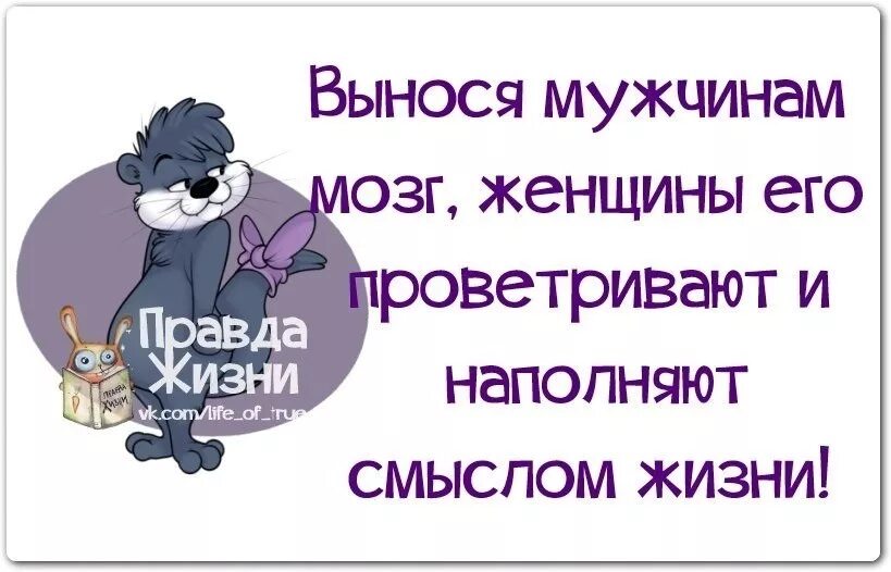 Выношу мозг жене