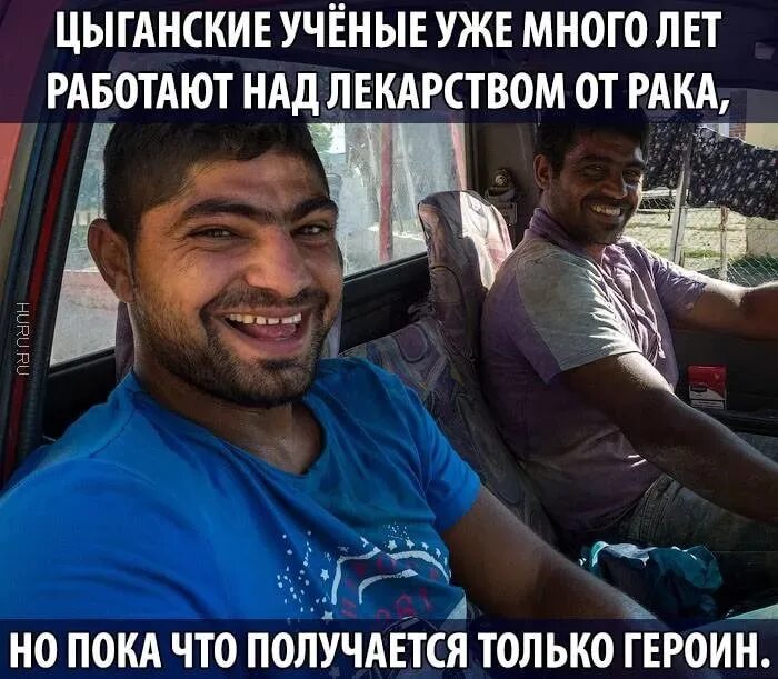 Томми не навилит цыган. Почему не любят цыган. Шутки про цыган и лошадей. Цыгане смешные мемы. Мемы про цыган.