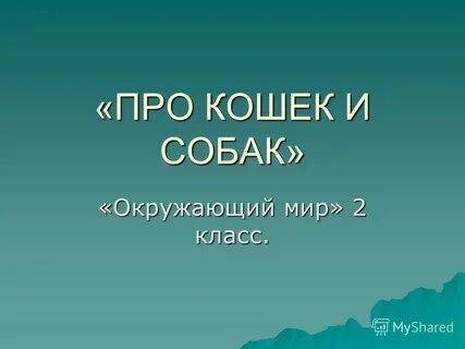 Про кошек и собак окружающий мир 2