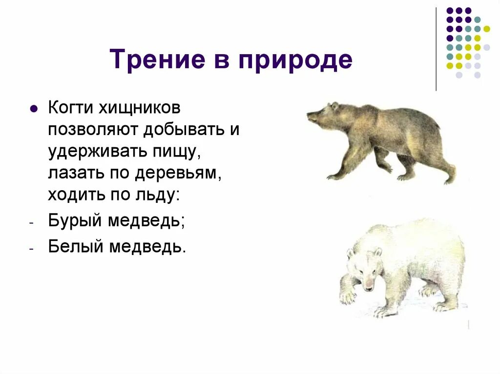 Трение природы. Трение в природе. сила трения в природе. трение в природе т ьехнике. трение в природе и технике.