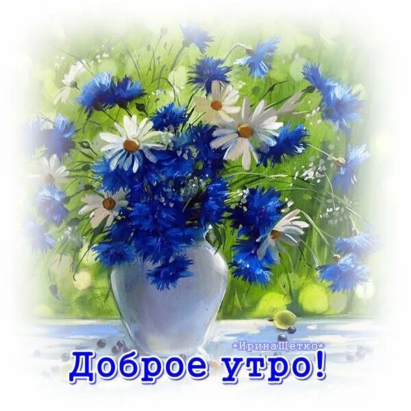 12 мая доброе утро. Доброе утро. доброго летнего утра и хорошего дня. поздравление с добрым утром июля. доброе утро полевые цветы.