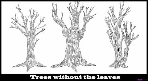 Without leaving