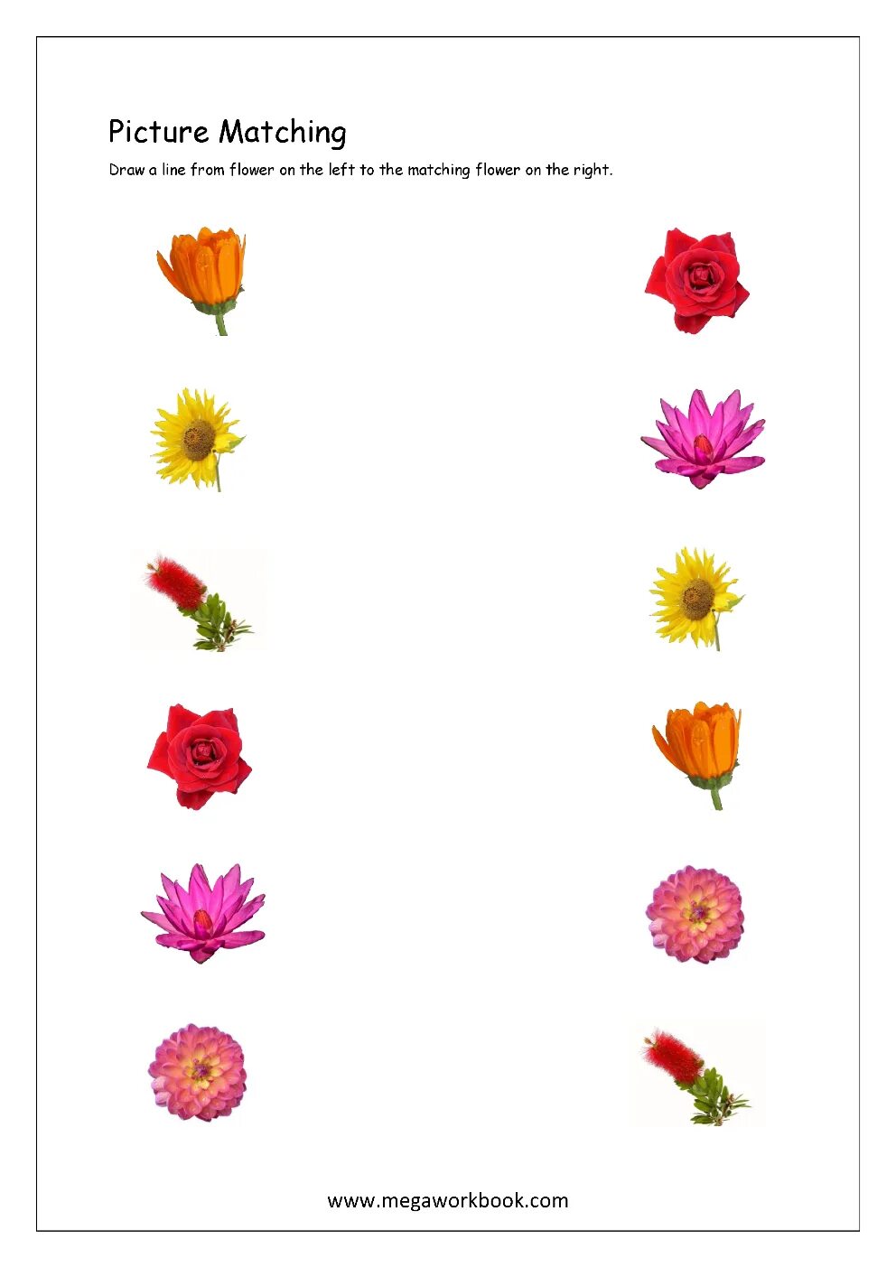 Draw lines to match. Draw lines to match. Draw lines to match. Цветы на английском задания. Q words for kids.