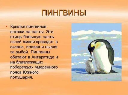 Текст пингвины 3 класс