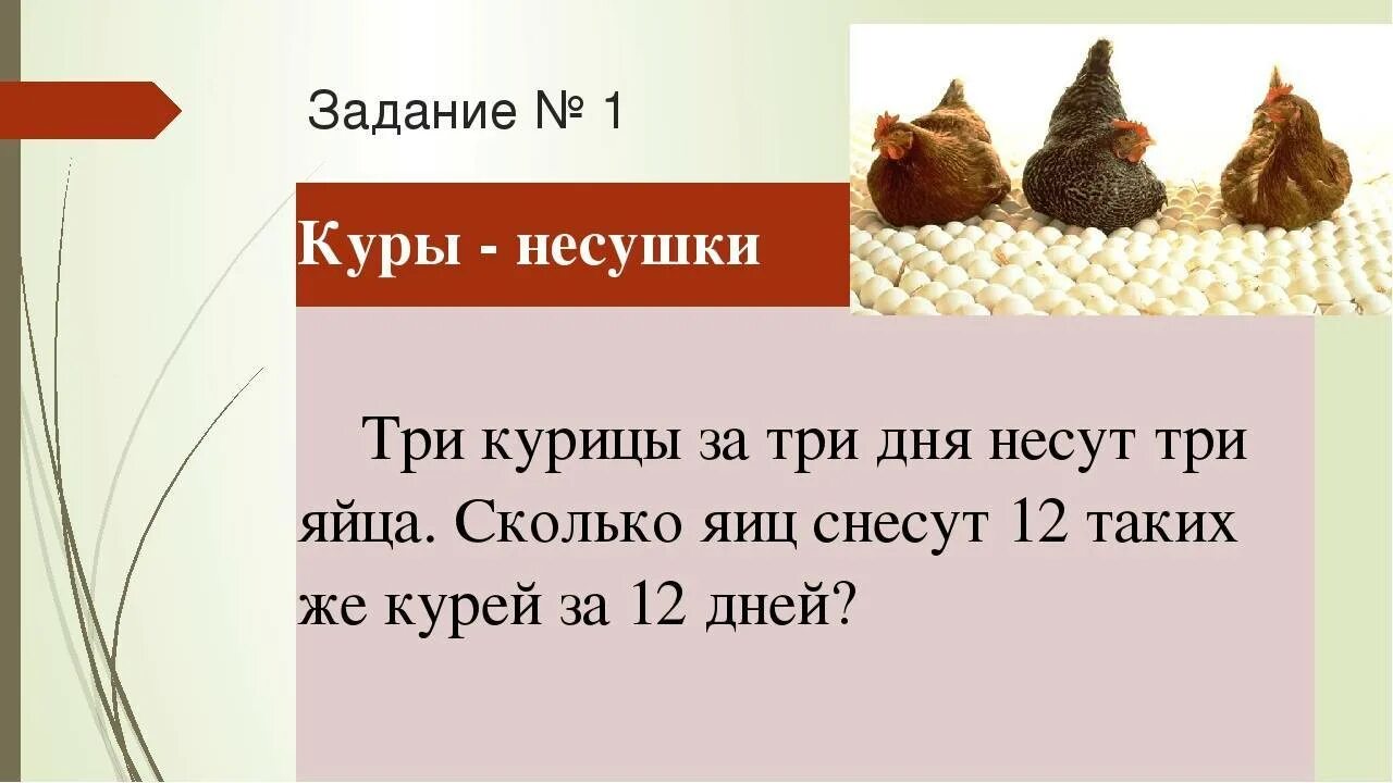 Несушки сколько яиц в день. Сколько яиц несет курица в день. Сколько яиц дает курица Несушка в день. Сколько яиц несёт курица в день Несушка. Сколько яиц приносит курица в день.