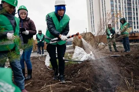 Ученого посадили