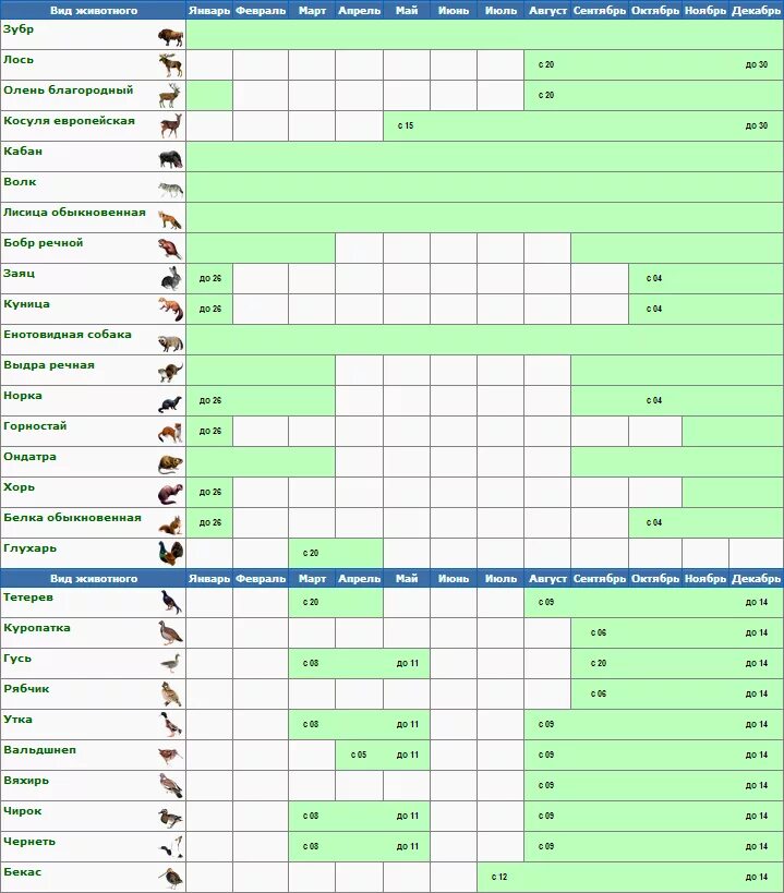 Календарь охотника. Охота расписание. График охоты. График сезона охоты. Календарь охотника.