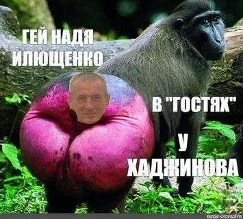 Подор