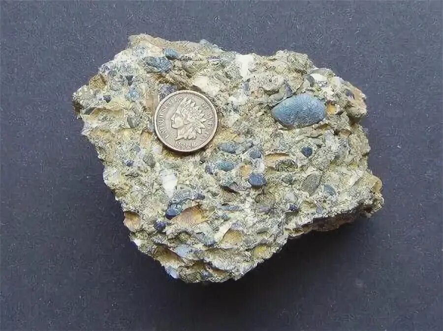 Младший сын конгломерата 79