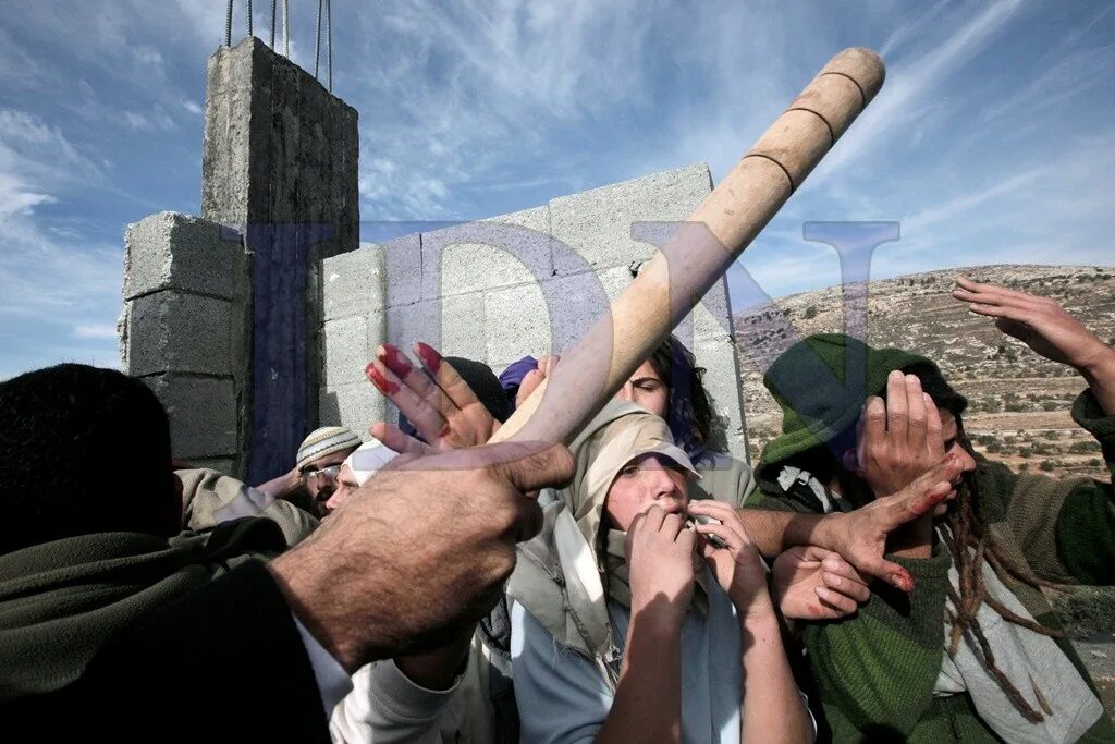 Язык палестинцев. Палестинцы внешность. Палестина независимость. Язык палестинцев. Язык палестинцев.