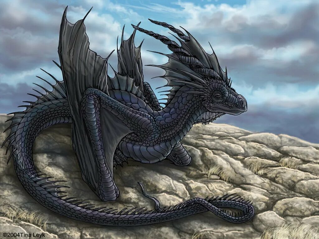 Добыча дракона. Гебриданский чёрный дракон. Синтара дракон. Сэйрю Лазурный дракон. Дракон Блэк драгон.