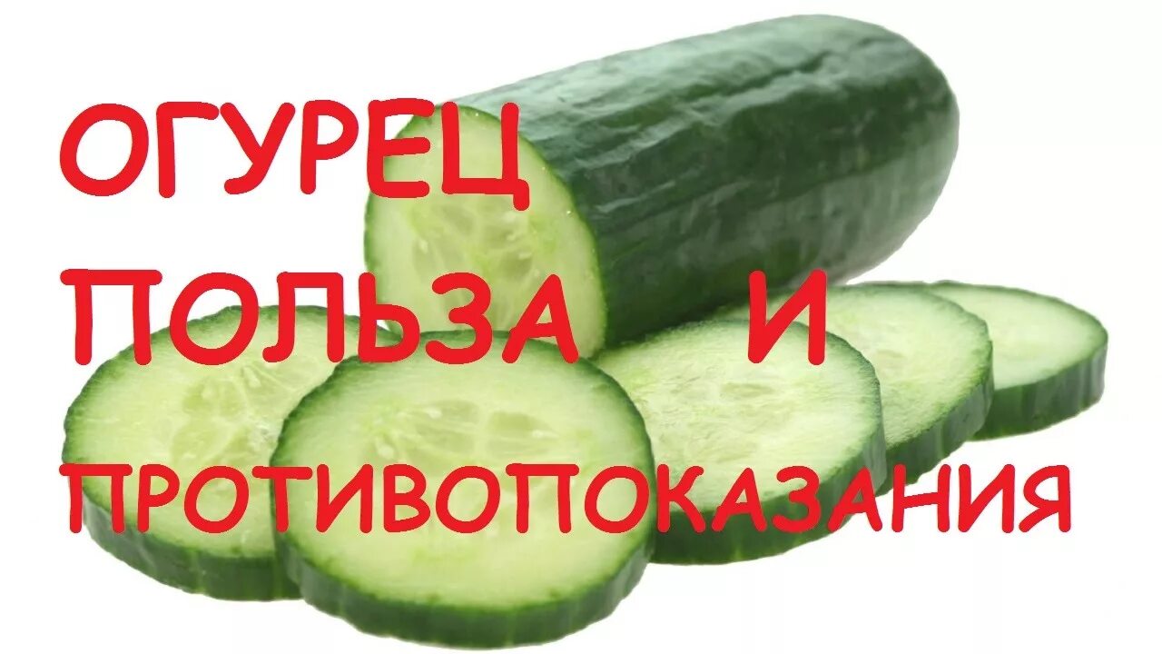 Процент воды в огурце. Огурцы польза. Польза огурцов для организма. Что полезного в огурцах. Польза огурца для организма.