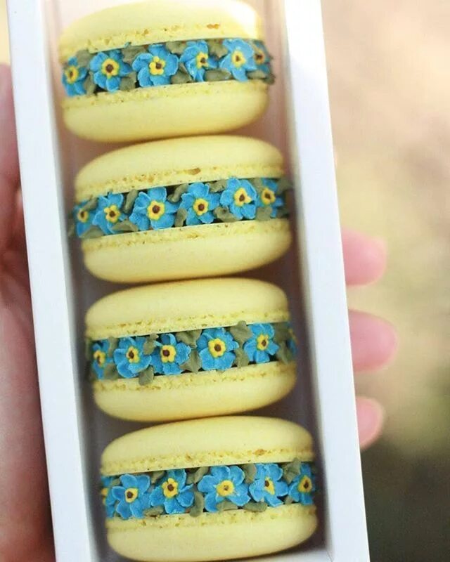 Печенье макарон фото Lette Macarons Macarons macaroons, Macaron recipe, Macaroons