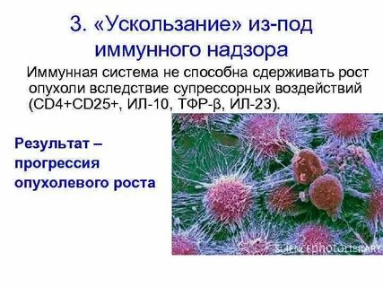 Механизмы ускользания бактерий от иммунной элиминации