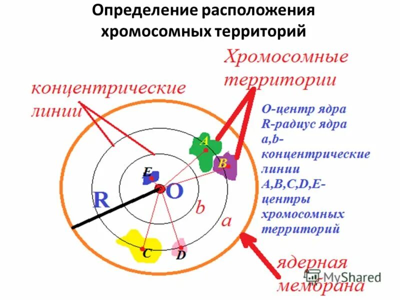 Местонахождение по номеру телефона. Нахождение телефона по номеру телефона. Ориентирование на местности. Определение своего местоположения. Местонахождение по номеру телефона.