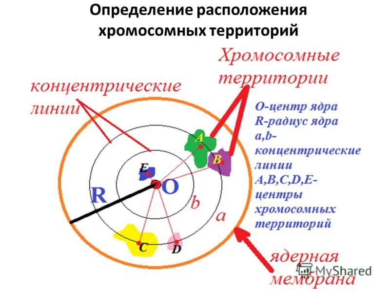 Измерение местоположения