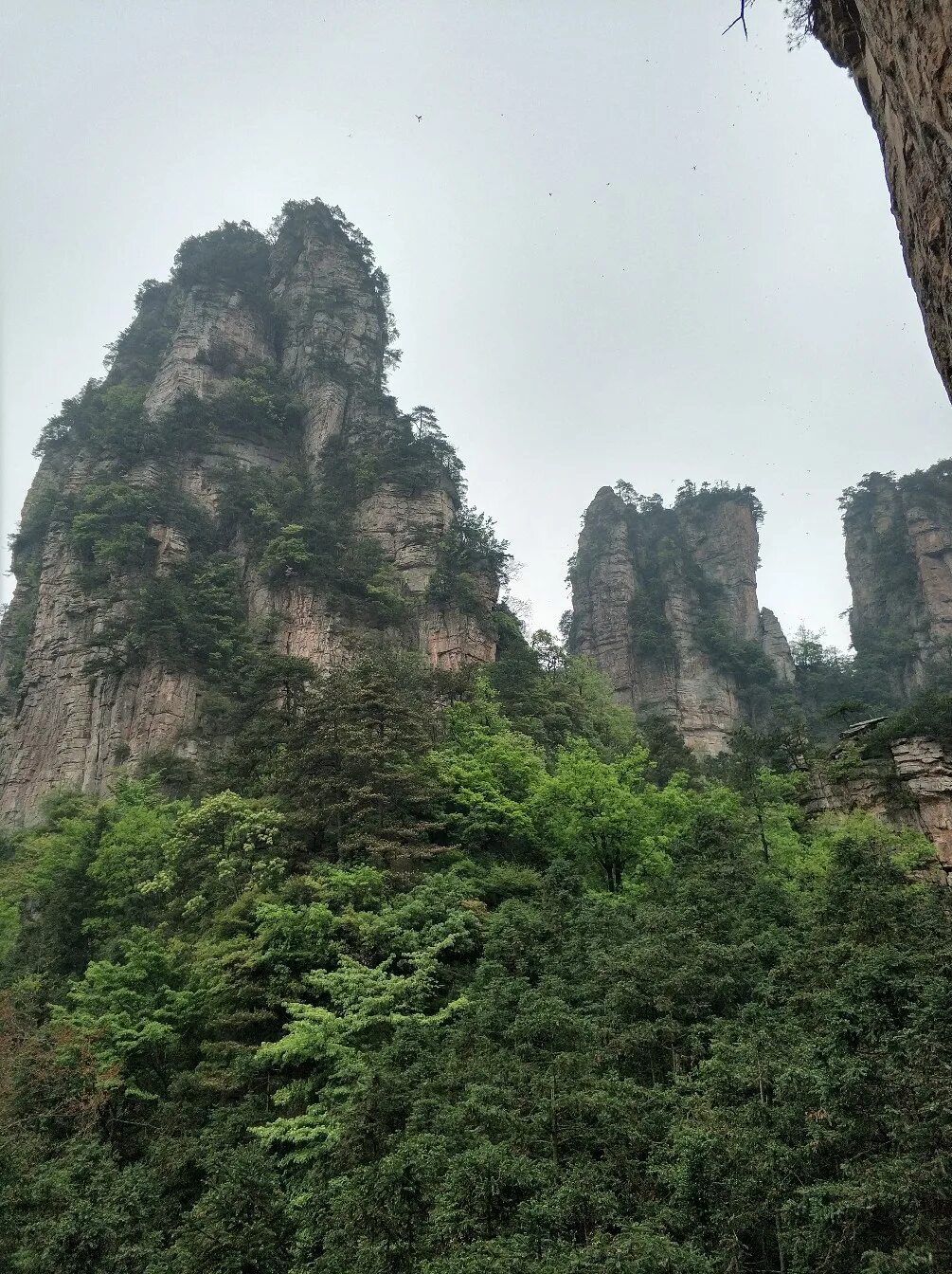 Где снимался гора. Национальный парк чжанцзяцзе аватар. Национальный парк улинъюань. Чжанцзяцзе (национальный лесной парк). Где снимался гора.