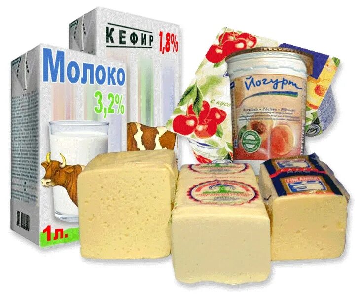 Микроорганизмы в пищевой промышленности. Бактерии кисломолочных продуктов. Молочнокислые бактерии продукты. Бактерии в кисломолочных продуктах. Полезные бактерии молочнокислые.