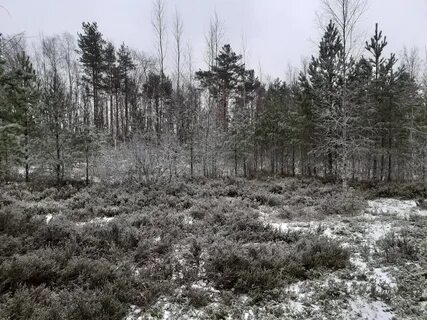 Коккоревский заказник и экотропа