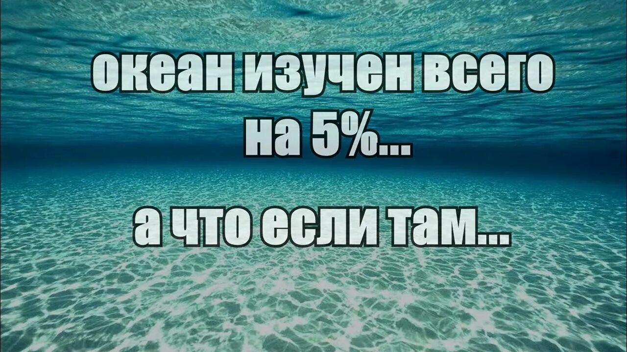 Океан изучен. Окияан изучен. Океан изучен на 5 процентов. Океан изучен на 5 процентов Мем.