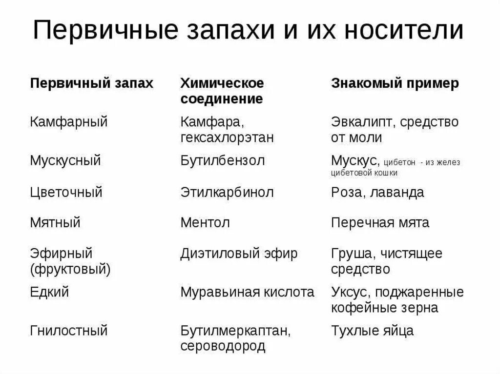 Первичные запахи. Классификация запахов. Классификация первичных запахов. Запахи химических веществ.