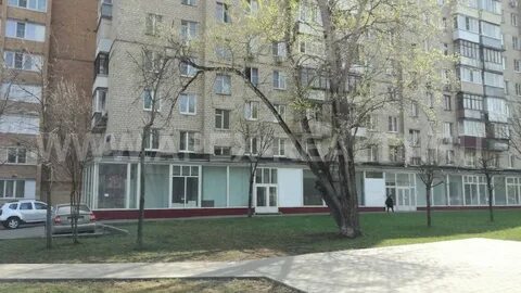 Тимирязевская 23