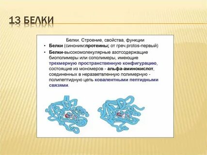 Каково строение и свойства белков