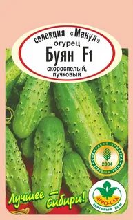 Огурцы портос описание сорта