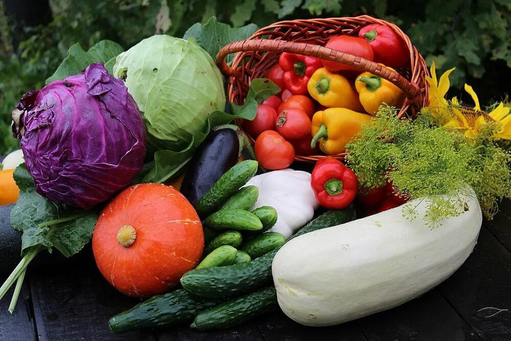 Лето время овощей и фруктов. Осенние овощи. Дары осени овощи и фрукты. Осенний урожай. Урожай овощей.