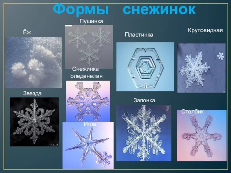 Догадайтесь как называются эти снежинки укажите стрелками