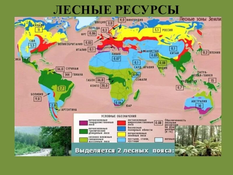 Наиболее и наименее обеспеченные лесными ресурсами регионы. Регионы обладающие лесными ресурсами. агроклиматические ресурсы карта.