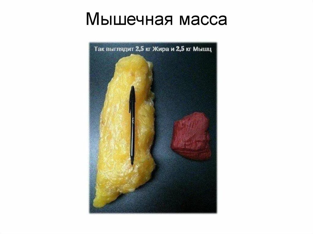 Как выглядит 100 грамм жира 10 diferencias entre perder peso y perder grasa: Músculo Vs Grasa *Que quieres p