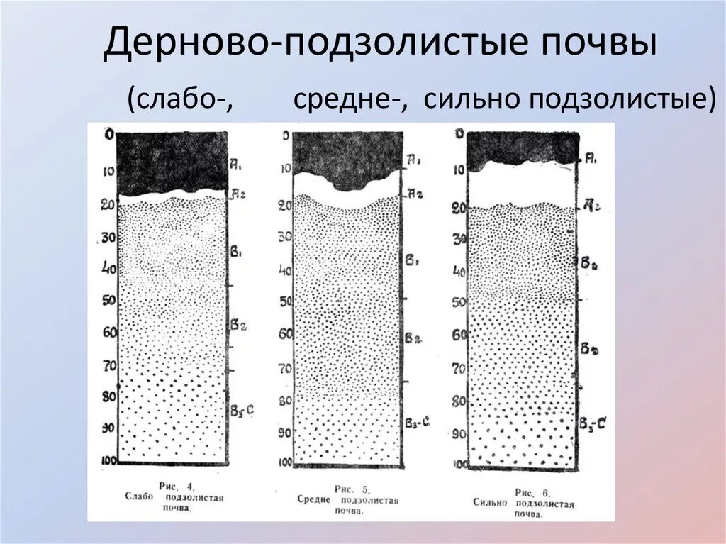 Дерново-подзолистые почвы профиль схема. Строение дерново-подзолистых почв. Дерново-сильноподзолистые почвы профиль. Дерново-слабоподзолистая горизонты. Мощность горизонта дерново подзолистых почв