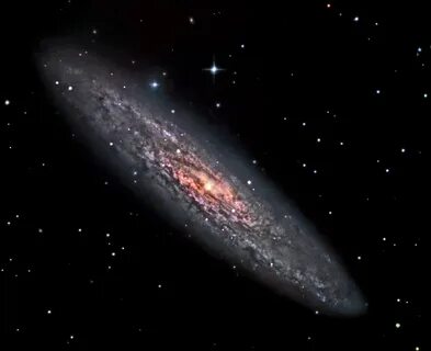Stars 978