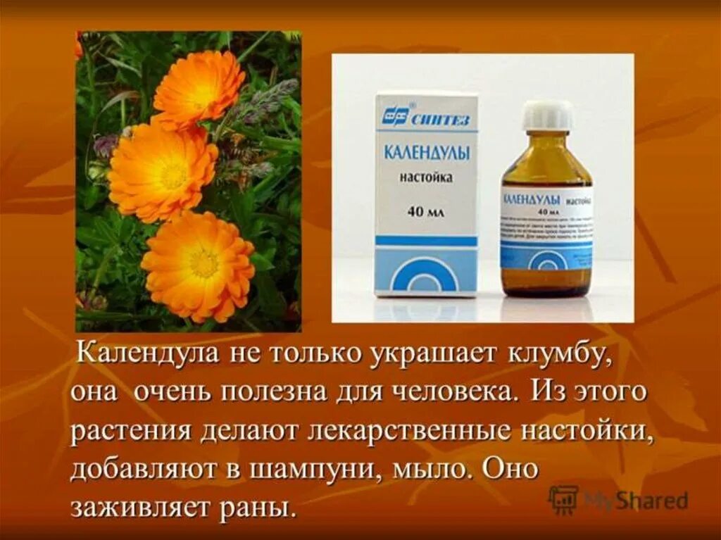 Как развести настойку календулы для полоскания горла