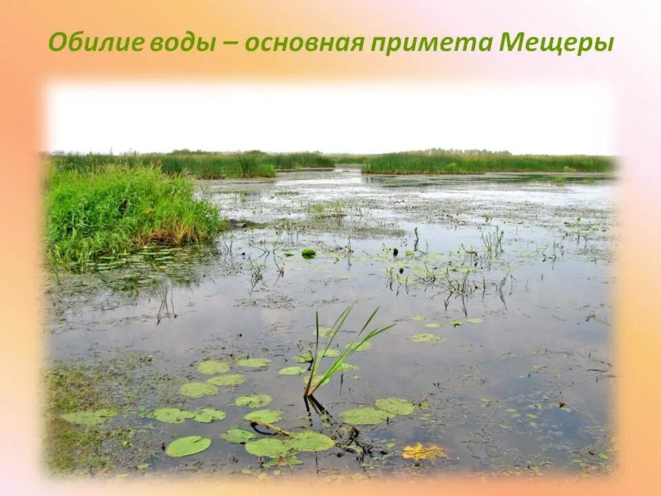 Мещёра Паустовский. Мещерский край Паустовский. Паустовский Мещерская сторона. Мещерская сторона обыкновенная земля. Слово мещера