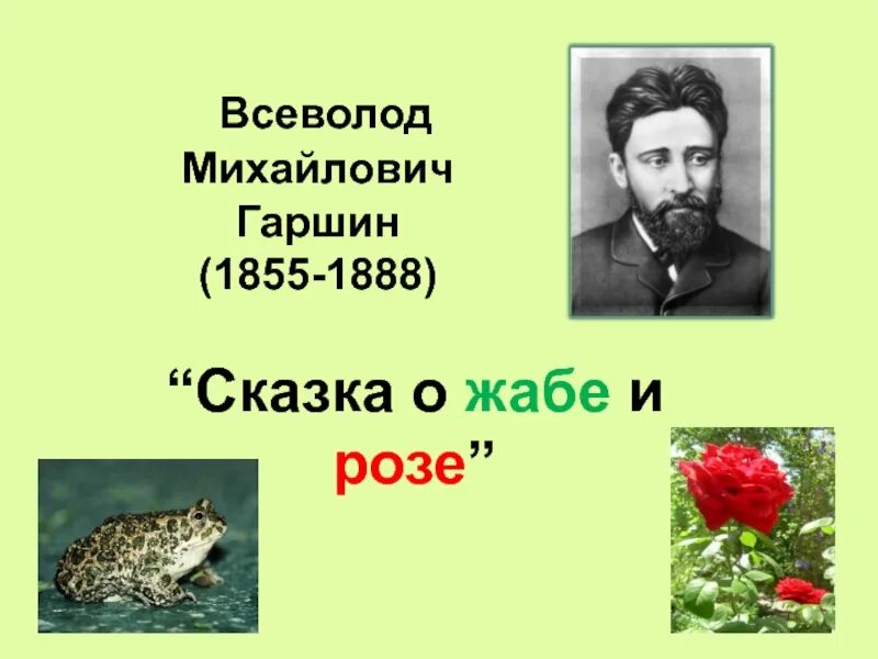 Гаршин о жабе и розе кратко. Гаршин всеволод михайлович (1855-1888). всеволод михайлович гаршин сказка о жабе и розе. в м гаршин жаба и роза. в м гаршина сказка о жабе и розе.