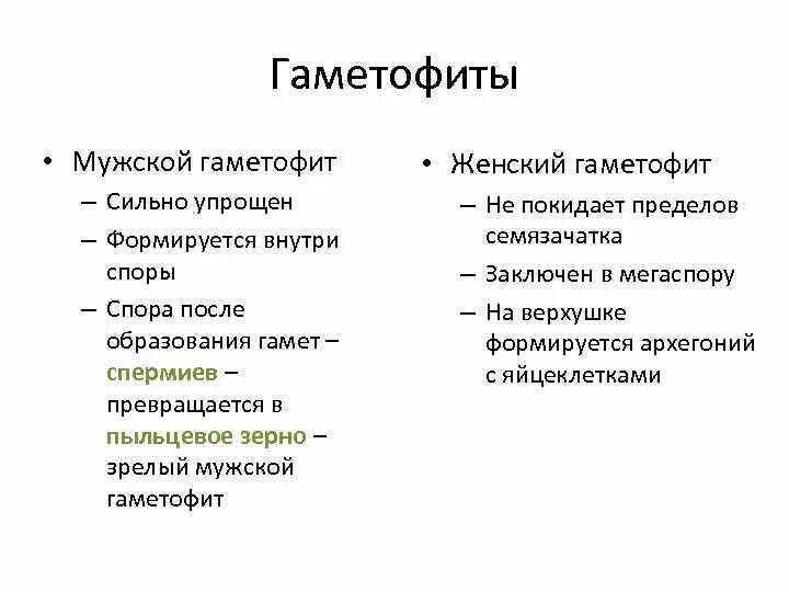 Гаметофит у покрытосеменных растений представлен. Гаметофит у покрытосеменных растений представлен