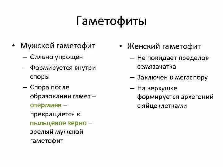 Стадии женского гаметофита. Мужской гаметофит цветковых растений. Мужской гаметофит цветкового растения. Женский гаметофит покрытосеменных растений представлен. Мужской гаметофит у покрытосеменных растений.