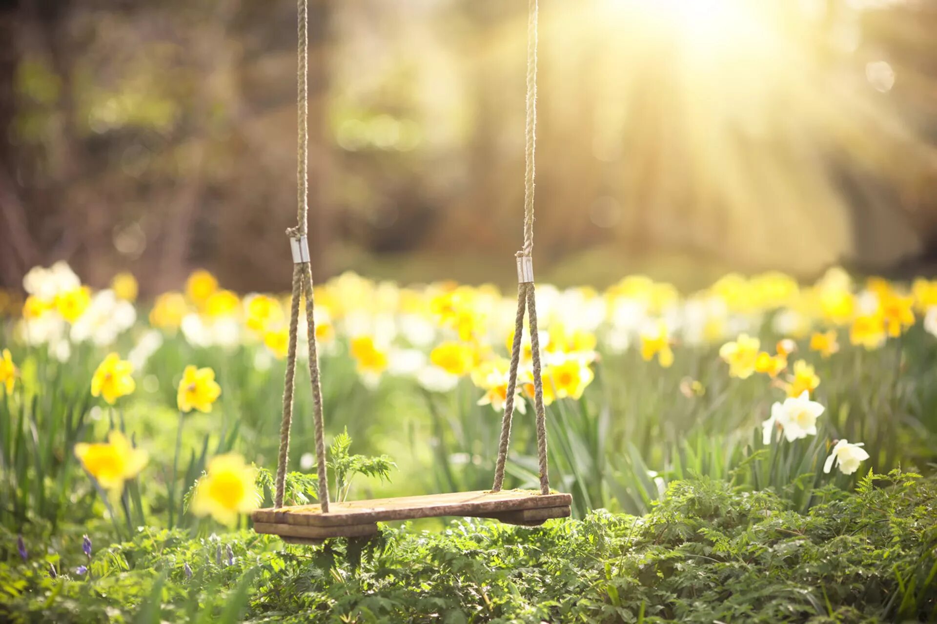 Was the best in spring. Весна солнце. Весна солнце цветы. Весенняя природа. Качели на природе.