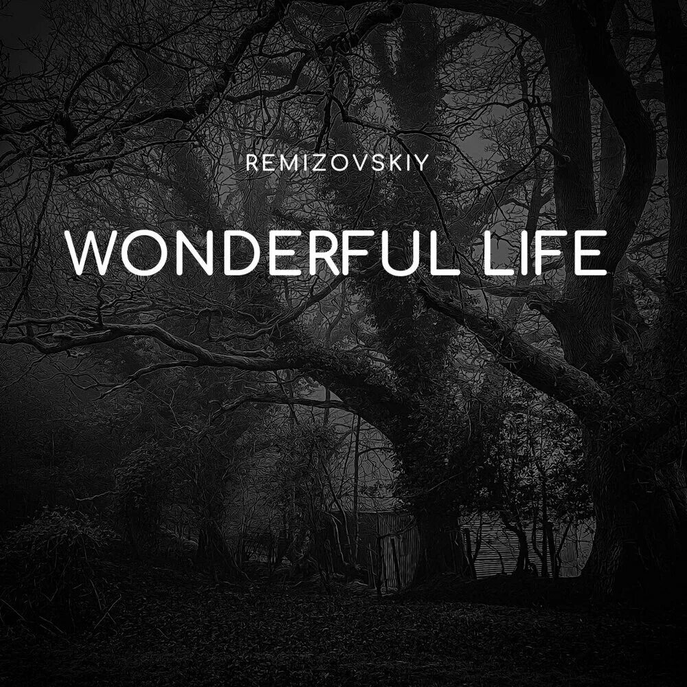 Вандефул лайф слушать. Вондерфул лайф. Remizovskiy Rainscape. Black группа wonderful Life. Wonderful Life песня.