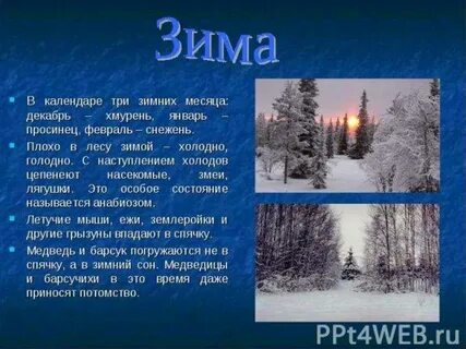Как пишется холода