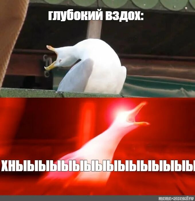 В з д о х н