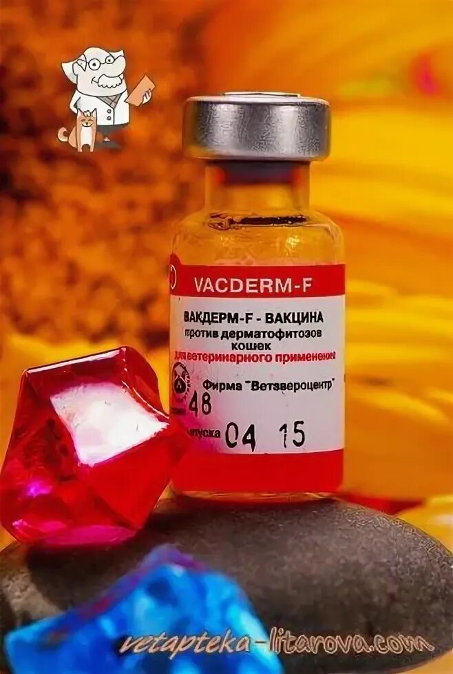 Вакдерм для кошек. Вакдерм, 1 доза. вакцина вакдерм для кошек. фелоцел cvr, вакцина для кошек. вакдерм-f для кошек.