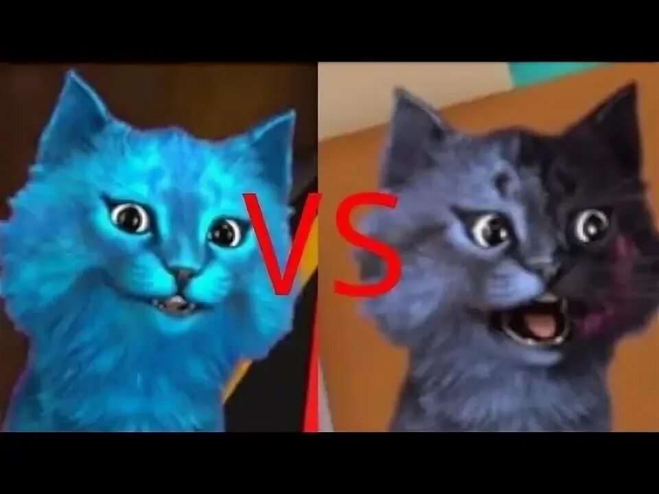 Включи ролик котенка лайка