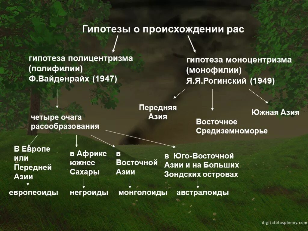 Происхождение человека человеческие расы. Теории происхождения рас человека. Гипотезы формирования человеческих рас. Происхождение человеческих рас. Гипотезы возникновения рас человека.