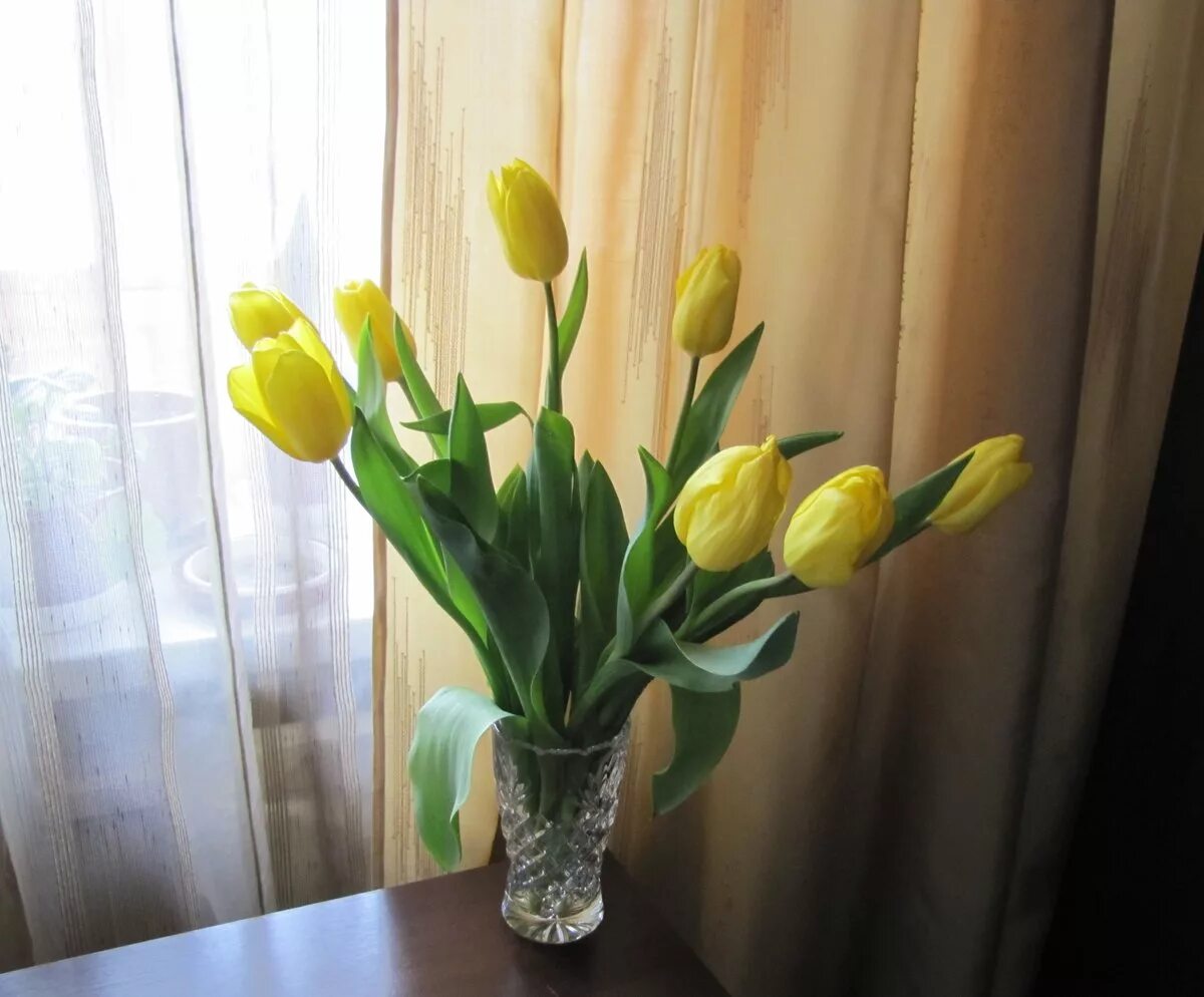 Тюльпаны дома на окне. Желтые тюльпаны в вазе. Тюльпаны в вазе. Букет тюльпанов в вазе.
