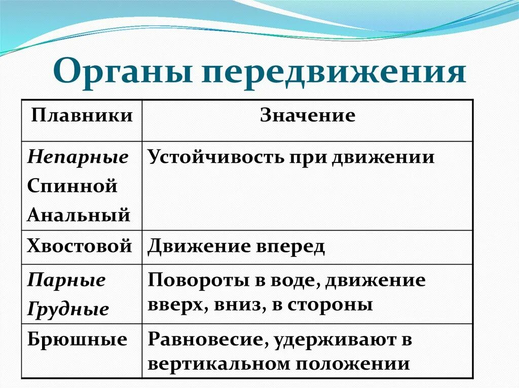 Органы движения. Функции плавников у рыб. Органы передвижения рыб. Органы передвижения рыб таблица. Органы передвижения непарные значение.