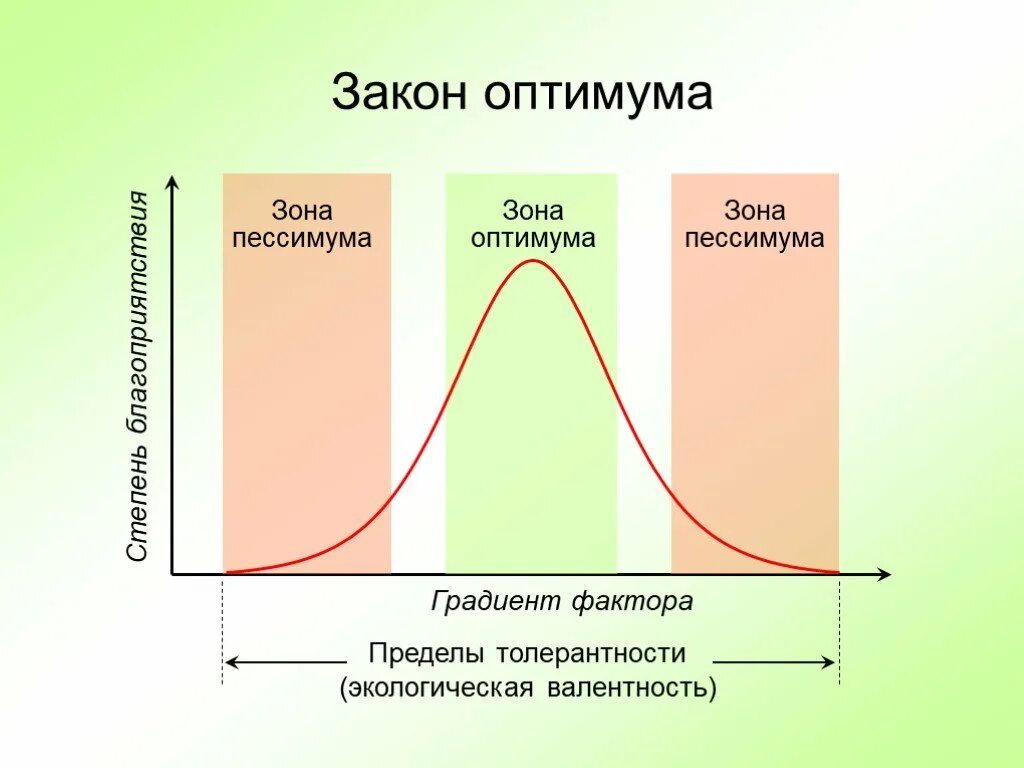 Факторы среды зона оптимума. Что такое оптимум. Что такое оптимум. Закон оптимума экология. Влияние экологических факторов на организмы схема.