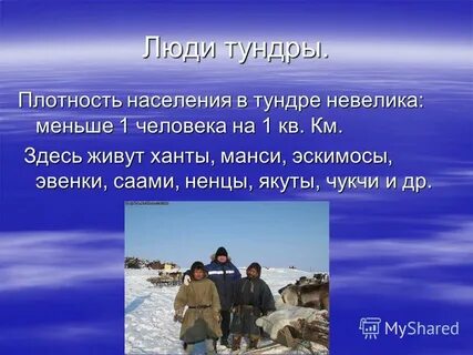 Жизнь в тундре 4 класс